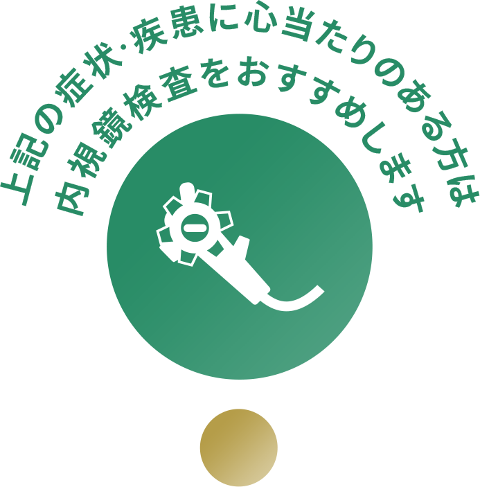 上記の症状・疾患に心当たりのある方は内視鏡検査をおすすめします