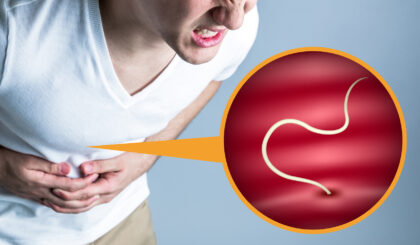 アニサキスについて